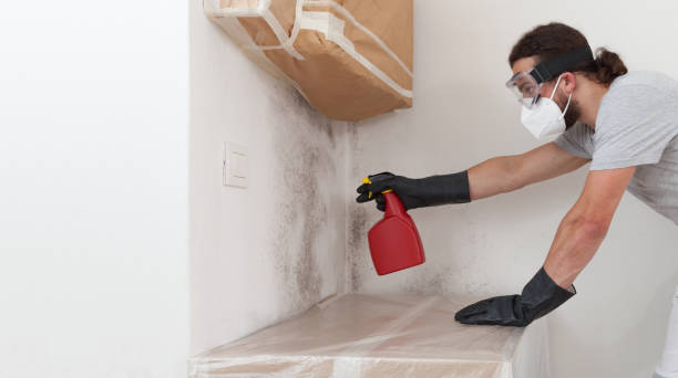 Professional Black Mold Remediation technician working in Westchester, IL